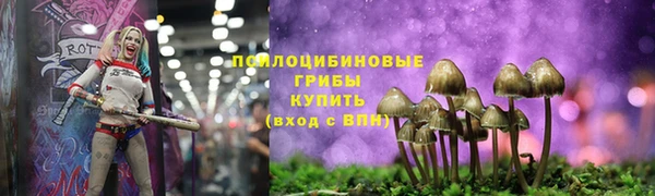 спайс Алзамай