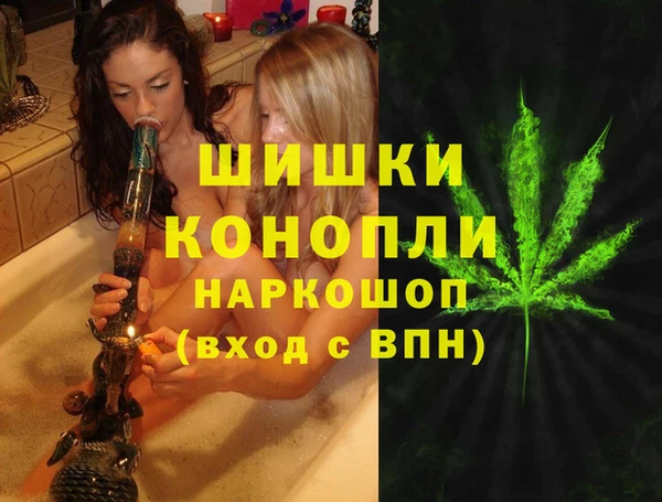 спайс Алзамай