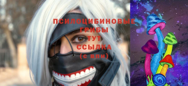 ALPHA PVP Алексин