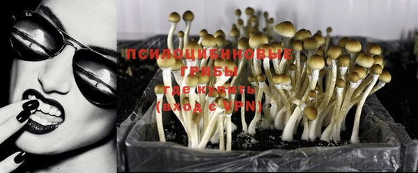 спайс Алзамай