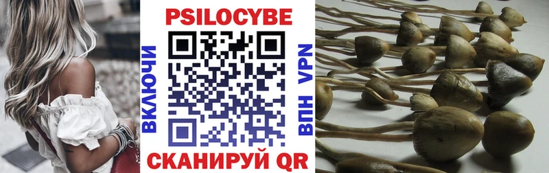 Галлюциногенные грибы ЛСД  Гдов 